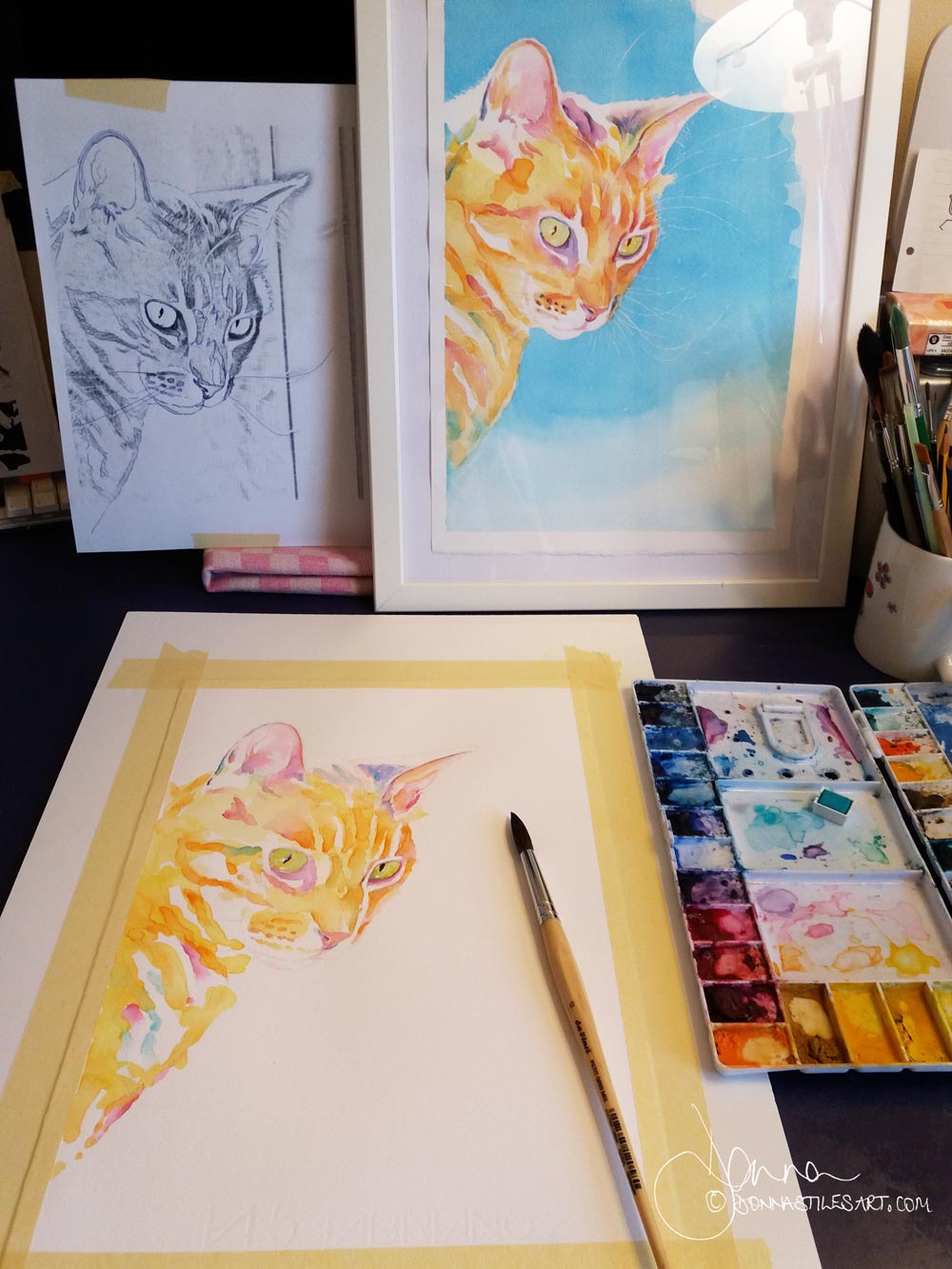 Colourful watercolour cat portraits