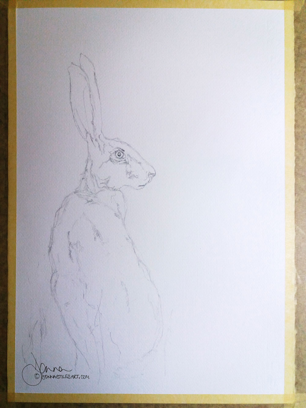 Hare drawing with pencil on watercolor paper.