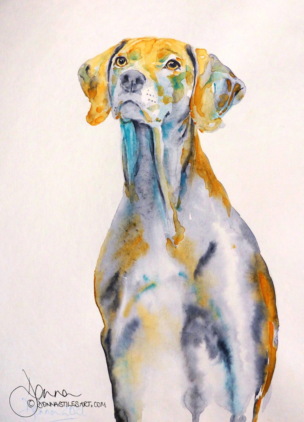 Watercolor dog portrait: a short-haired Weimaraner