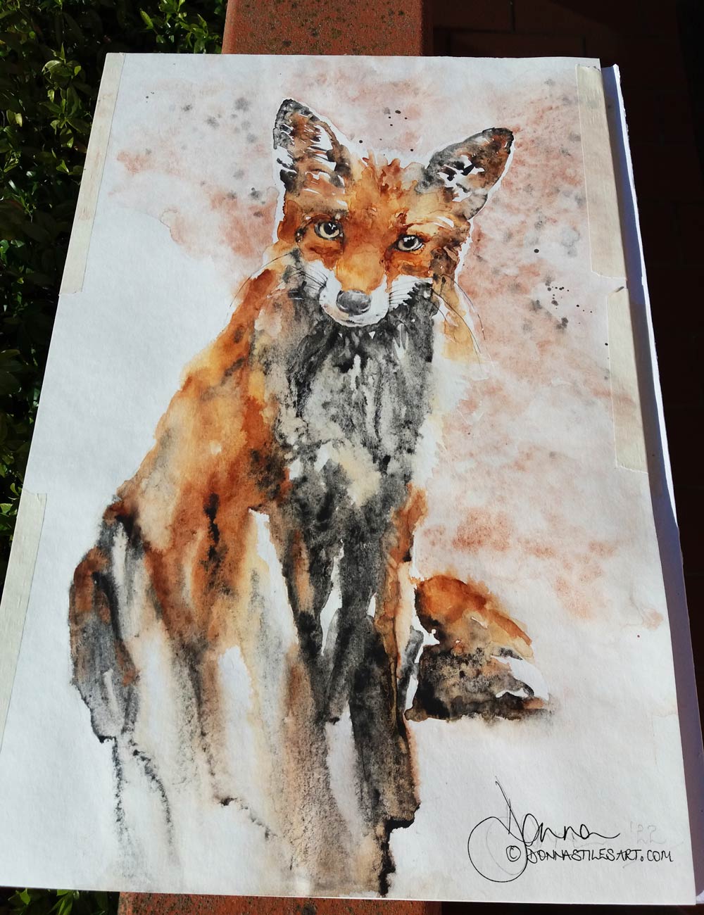 Watercolour fox